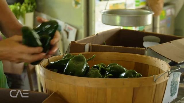 Meet the Maker: Tom Knows Salsa смотреть онлайн