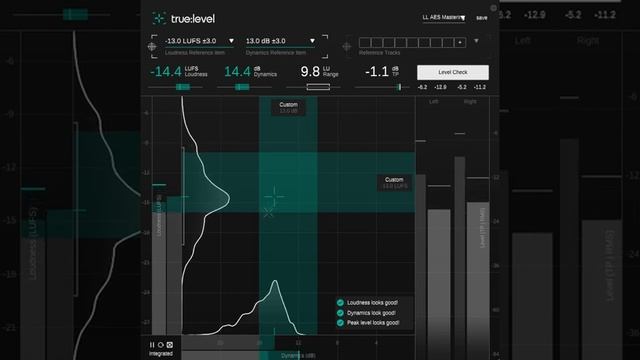 Checking levels of a track using Sonible's true:level in mastering. смотреть онлайн