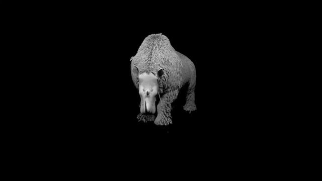 Fur Test of a woolly Rhino смотреть онлайн