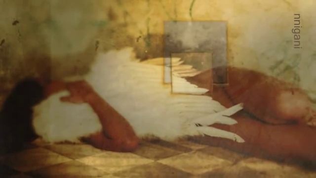 Hindi Zahra - Set me free смотреть онлайн