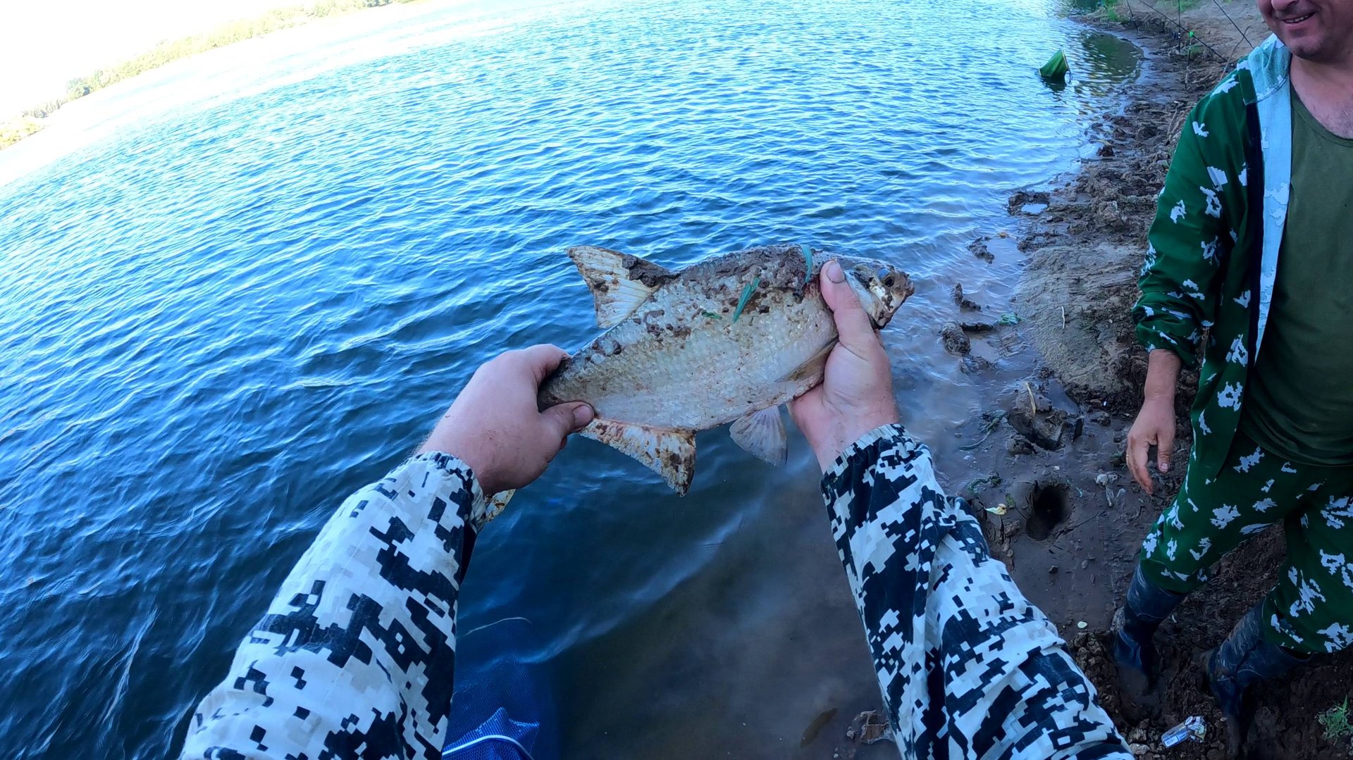 Рыбалка на Ахтубе, поймал леща и чехонь на донку смотреть онлайн