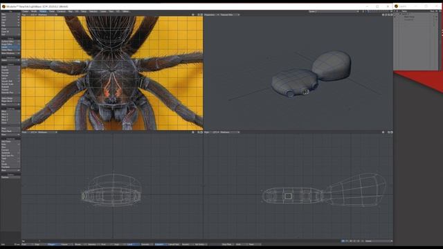 Lightwave 3D 2020 Spider tutorial смотреть онлайн