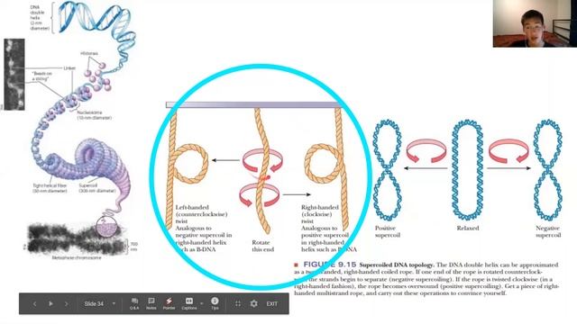 iExplore Biology Seminar # 2 DANGEROUS DNA!!(hosted by Ryan Kern) смотреть онлайн