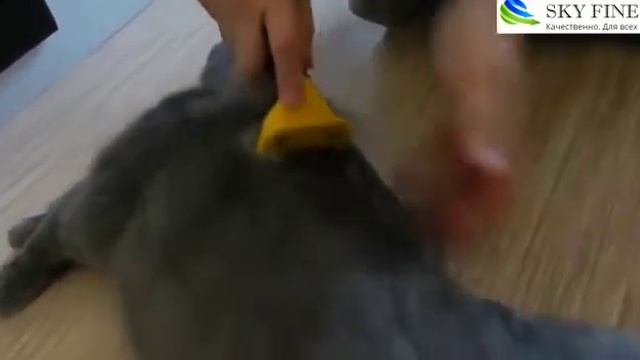 Приспособление для вычесывания шерсти смотреть онлайн