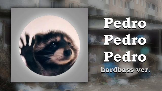 Енот Pedro-pedro-pedro, но это Hardbass