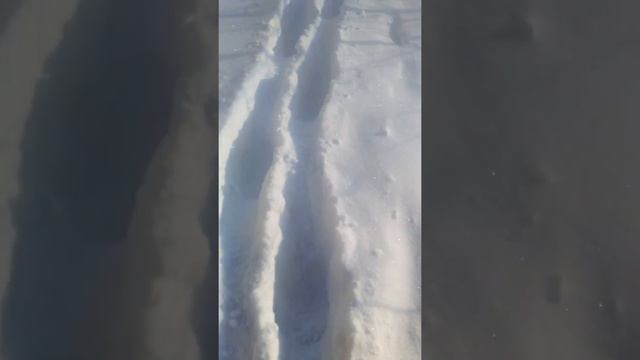 Брюллова запытний смотреть онлайн