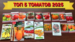 ДЕСЯТКА МОИХ ТОМАТОВ на 2025г. И 5 ЛУЧШИХ СОРТОВ.