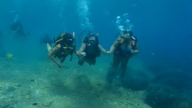 2018 08 25 15 09 Turkish Number 4 ONLY Diving смотреть онлайн