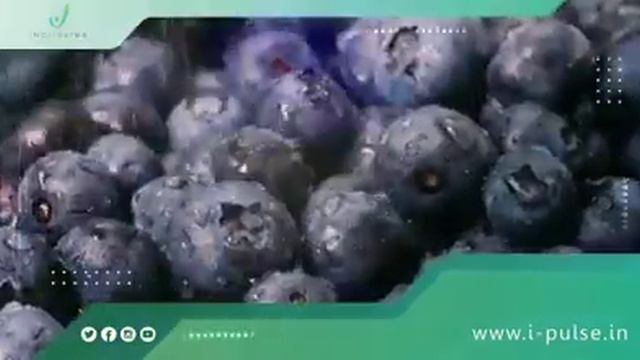 #ipulse смотреть онлайн