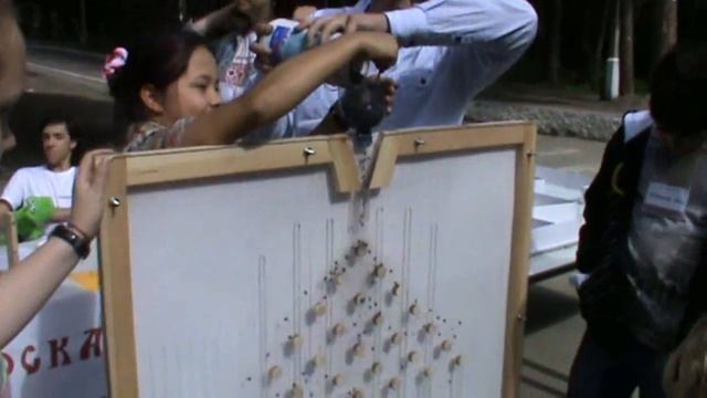 Вся правда о ЛЕНШ 2013