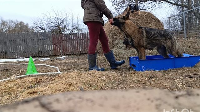 Веттерхорн 11 месяцев. первая проба рамки. смотреть онлайн