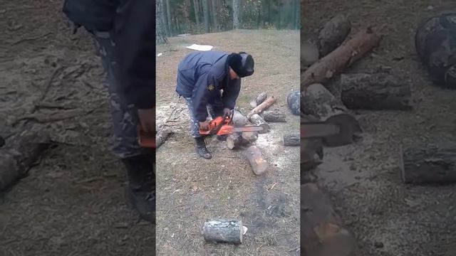 Коптим судака(1)