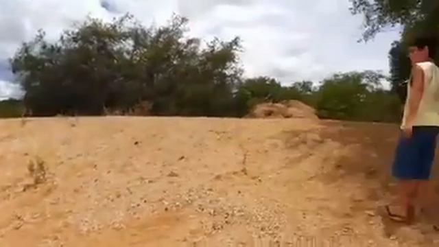 Musurana a cobra do bem смотреть онлайн