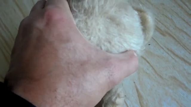 Медведь опилки СССР смотреть онлайн