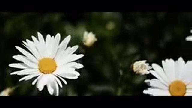 CRIMEA КРЫМ 2015 смотреть онлайн