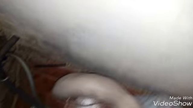 Что кот делает смотреть онлайн