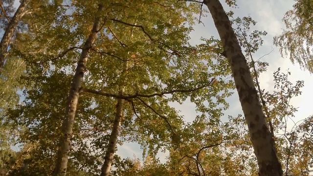 Сентябрь смотреть онлайн