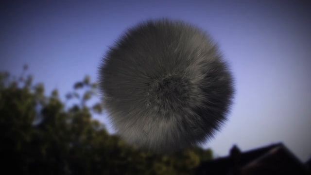 3DS Max hair and fur test смотреть онлайн