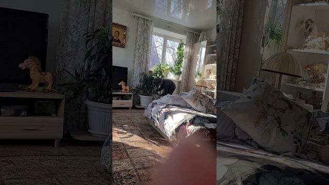 Кирилл поливает цветы смотреть онлайн