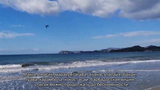 Самый сок: ароматы, которые будут напоминать о лете круглый год смотреть онлайн