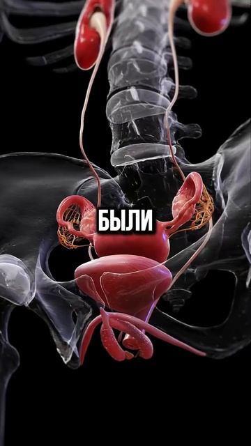 Всё для Женщин смотреть онлайн