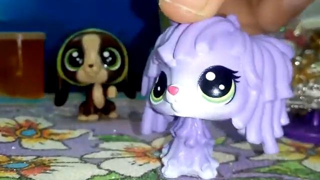 Мой новый пэт распаковка читай описание смотреть онлайн