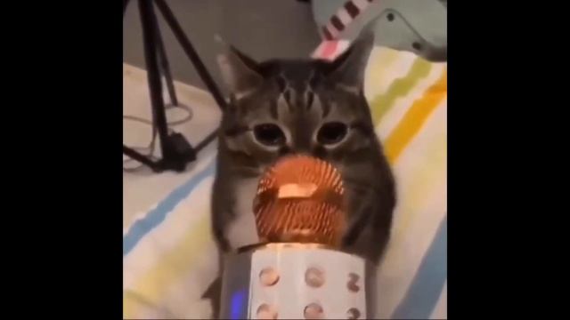 Давай давай, в микрофон поори(Майнкрафт версия)