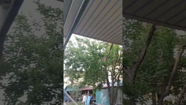 что у меня в огороде 😊🌹🍏🍎🥕🥬🥦🍐 смотреть онлайн