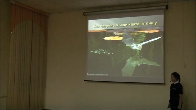 Можина Арина смотреть онлайн