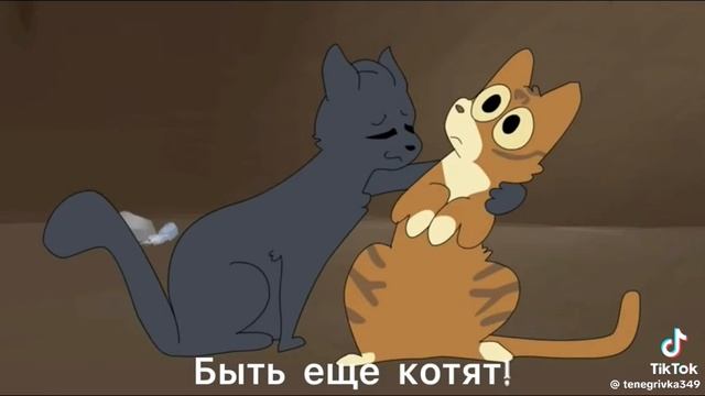 Где-то на границе между грозовым племенем и племенем ветра: смотреть онлайн