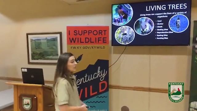 Native Trees and Wildlife смотреть онлайн