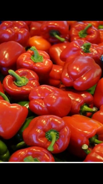 Полезные свойства перца. #gardening Если вам понравилось подписываемся, на канал смотреть онлайн