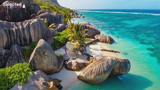 Musica para trabajar activo alegre mix - Música divertida para entrenamientos dinámicos y de fitness смотреть онлайн