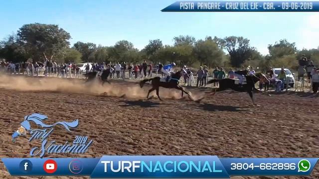 JAMAL (polla de potrillos) - Pista Pangare - 9/6/2019 смотреть онлайн