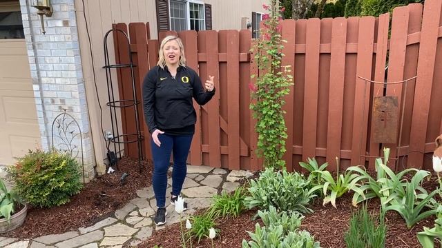 Front Yard in the Spring and Updates! смотреть онлайн