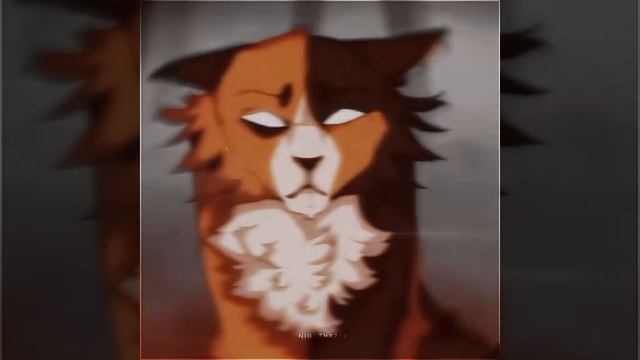 Эдит Кленовнице смотреть онлайн