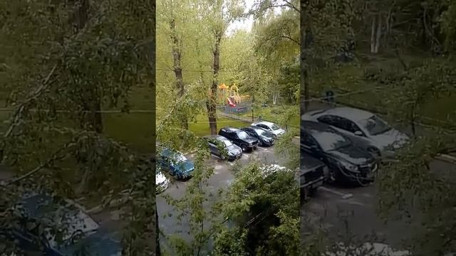 Утреннее пение птиц в Москве. 26 мая 2017 г. 6:00 смотреть онлайн