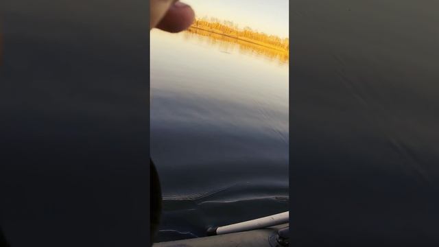 Мечта любого рыбака смотреть онлайн