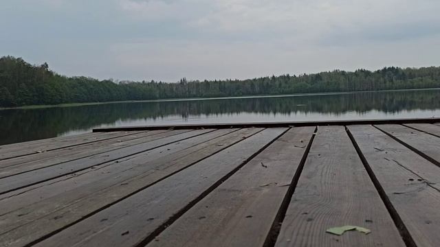 #ВЕЛОПРОГУЛКАГРИБНАЯ смотреть онлайн