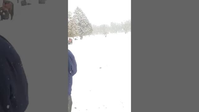 Бузкаши дар Сари Хосор дехаи Даштаро .Асад човандоз Олим човандоз Ятимовхо смотреть онлайн