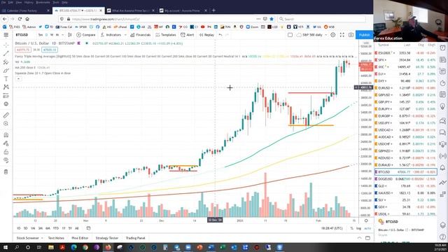 February 13, 2021 - Trade Week Forecast смотреть онлайн