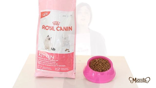 ROYAL CANIN KITTEN 36 - Miscota.co.uk смотреть онлайн