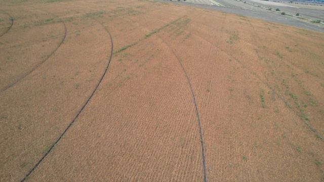 Универсал соя 10 40нс. классика смотреть онлайн