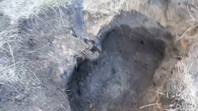 Самая крупная Находка в начале этого года!!! 2023 смотреть онлайн