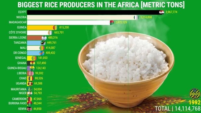THE LARGEST RICE PRODUCERS IN THE AFRICA смотреть онлайн