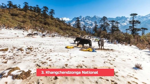 Top 5 Best Tourist Places to Visit in Yuksom | India - English смотреть онлайн