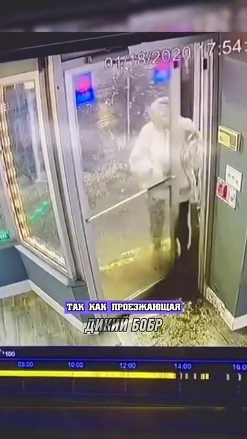 ВЫШЛИ НА УЛИЦУ И ОБАЛДЕЛИ… смотреть онлайн