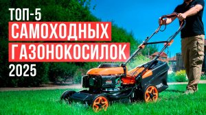 Лучшие самоходные газонокосилки для дачи. Какую газонокосилку выбрать в 2025 году?