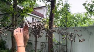 Эстетика арт-объектов