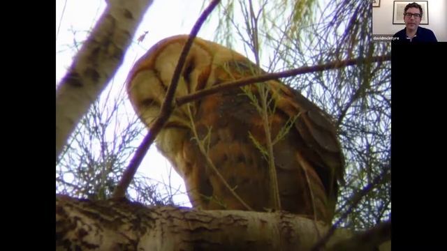 Western Tales of an Eastern Birder: Exploring California Birding смотреть онлайн